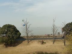 -上海滨江森林公园