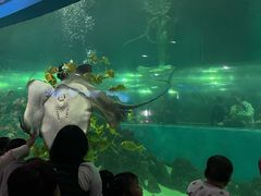 -苏州海洋馆