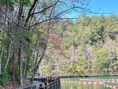 -江西阳明山国家森林公园