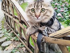 -共青国家森林公园-售票处