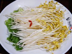 泉水豆芽-晓宇重庆火锅(大唐不夜城店)