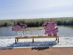 -南大港湿地风景区