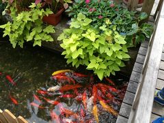 -老洋房花园饭店(绍兴路店)