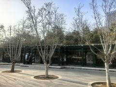 -西海子公园