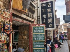 -古树酸奶(八廓南街店)