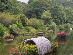 -深圳仙湖植物园-停车场