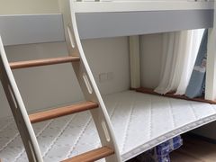 -科立恩进口除甲醛甲醛检测