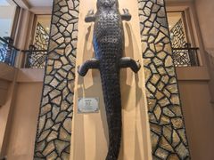 -麒麟中餐厅·经典粤菜·地道菜式老字号(广州长隆酒店)