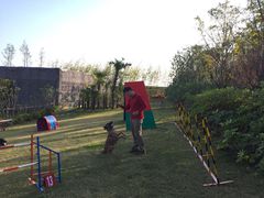 -上海崇明金茂凯悦酒店