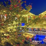 老顾客来大院河吃鱼