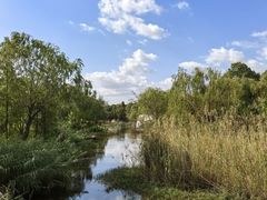 -上海长兴岛郊野公园