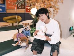 -帕帕拉兹宠物(亚洲旗舰店)