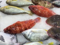 -御唐府海珊瑚主题餐厅