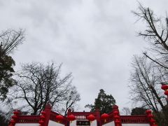 -都江堰景区