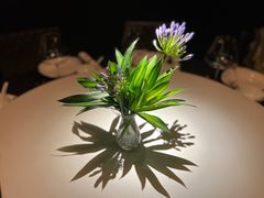 -莉莉海堂HAITANG·烤鸭(国贸商城店)