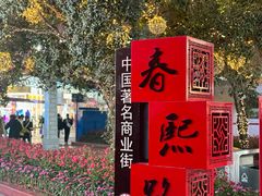 -春熙路步行街