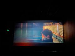 -汉阳天河电影城(王家湾店)