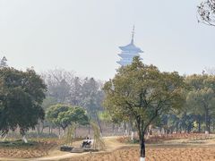 -宜兴龙背山森林公园