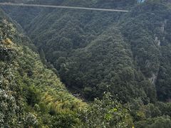 -丹山赤水风景名胜区
