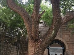-苏州丝绸博物馆