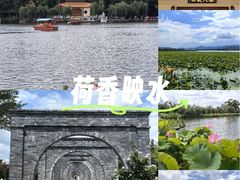 -庾园