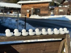 -白川乡与五箇山的合掌构造村落