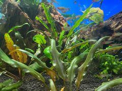 -太平洋海底世界