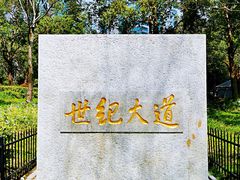 -陆家嘴中心绿地