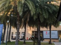 -三亚湾红树林度假世界(木棉酒店)