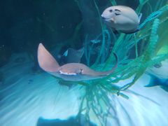 -沈阳海洋探索中心