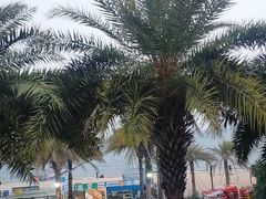-木屋烧烤(惠阳华润小径湾店)