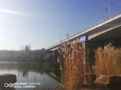-小绿谷公园