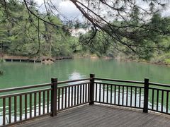 -冠豸山景区