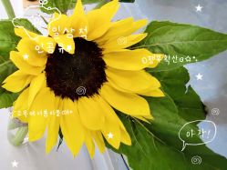 -FUMEIHUI·科技美肤·美体SPA