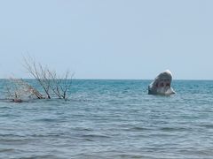 -青海湖二郎剑景区