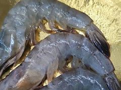 -蜀牛哥·炭火牛肉烤串鲜啤自助(龙泉铂悦山店)