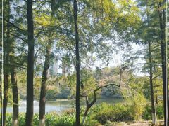 -重庆彩云湖湿地公园