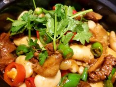 -陈麻婆豆腐总店