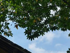 -法云安缦酒店