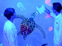 -普吉岛凯悦酒店