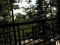 -天目湖松岭竹海漂流