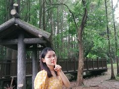 -东湖落雁景区