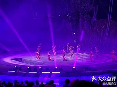 -灵玲国际马戏城