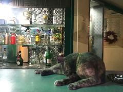 -Green Tree Rest. & Pub