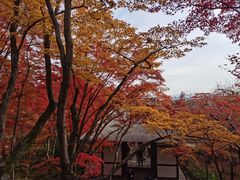 -常寂光寺