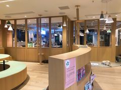 -CAT’S MEWSTAR CAFE·喵星球猫屋(晴湾咖啡店)