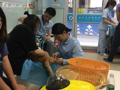 -纳吉亚猫专科动物诊疗中心(蒋宅口分院)