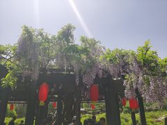 -晋祠公园
