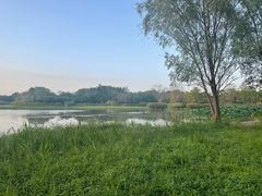 -西溪国家湿地公园