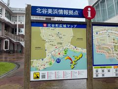 -美国村